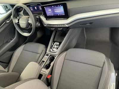 Skoda Octavia Selection (2026) - Foto 14
