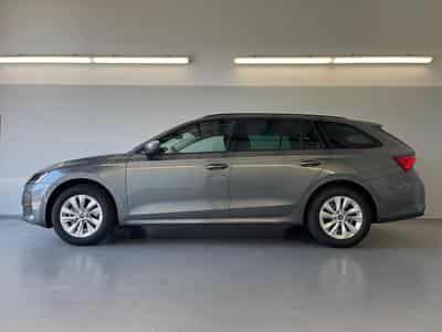 Skoda Octavia Selection (2026) - Foto 3