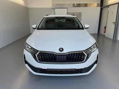 Skoda Octavia Selection (2026) - Foto 2
