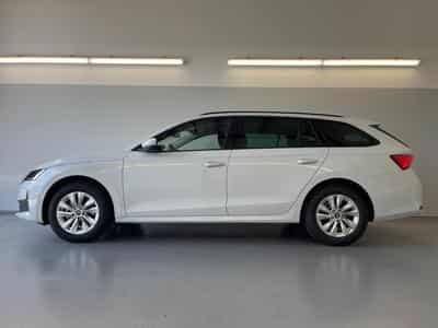 Skoda Octavia Selection (2026) - Foto 3