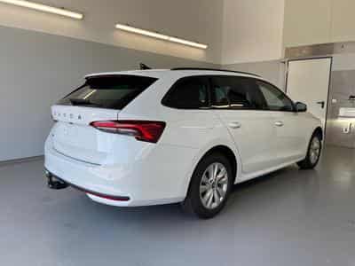 Skoda Octavia Selection (2026) - Foto 4