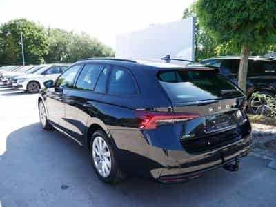 Skoda Octavia Selection (2026) - Foto 5