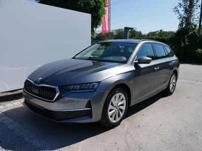 Skoda Octavia Selection (2026) - Foto 1