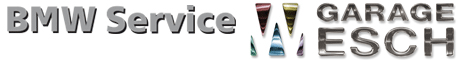 Logo Werner Esch