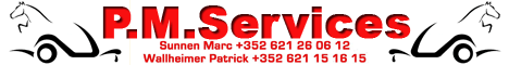 Logo P.M. Services S.àr.l.