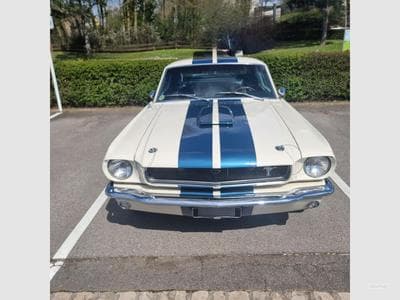 Ford Mustang Fastback GT350 A 1965 (2000) - Photo 1