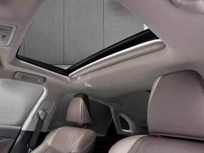 Lexus RX Executive Line (2022) - Photo 14