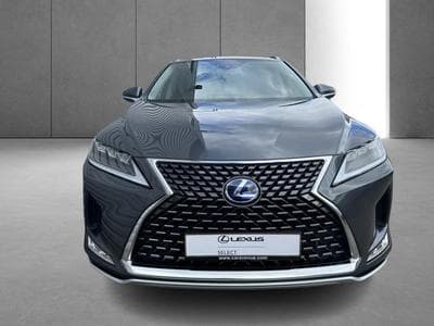 Lexus RX Executive Line (2022) - Photo 8