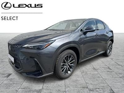Lexus NX Business Line (2023) - Photo 1