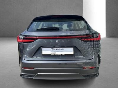 Lexus NX Business Line (2023) - Photo 11