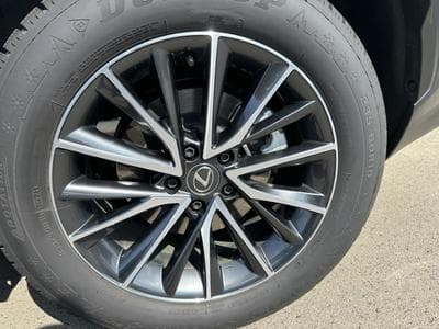 Lexus NX Business Line (2023) - Photo 12