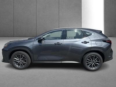 Lexus NX Business Line (2023) - Photo 3