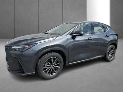 Lexus NX Business Line (2023) - Photo 5