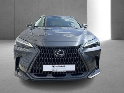 Lexus NX Business Line (2023) - Photo 6