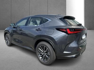 Lexus NX Business Line (2023) - Photo 8