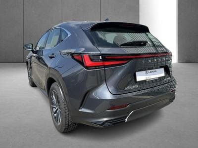 Lexus NX Business Line (2023) - Photo 9