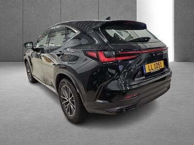 Lexus NX Business Line Awd (2023) - Photo 6