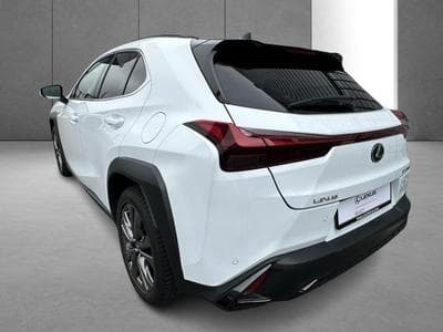 Lexus UX F SPORT Design (2023) - Photo 7