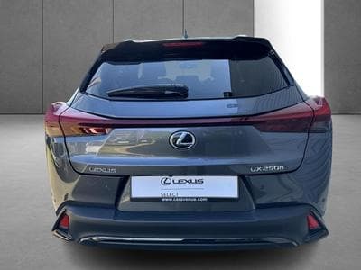 Lexus UX F SPORT Design (2023) - Photo 5