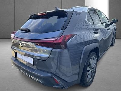 Lexus UX F SPORT Design (2023) - Photo 6