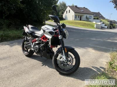 Aprilia Shiver Ligne Akrapovic (2019) - Photo 11