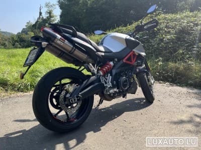 Aprilia Shiver Ligne Akrapovic (2019) - Photo 4