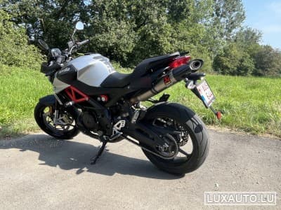 Aprilia Shiver Ligne Akrapovic (2019) - Photo 7
