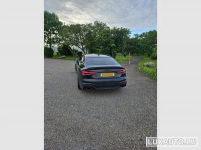 Audi RS5 (2023) - Photo 2