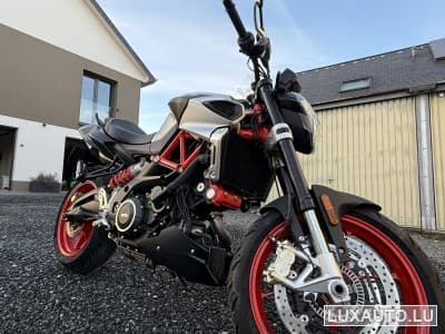 Aprilia Shiver 900 (2019) - Photo 1