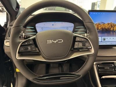 BYD TANG EXECUTIVE (2024) - Photo 15