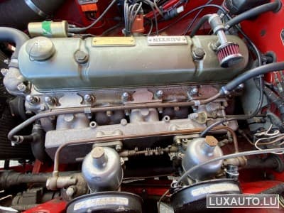 Austin-Healey 100 / 6 (1970) - Photo 10