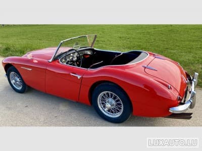 Austin-Healey 100 / 6 (1970) - Photo 2