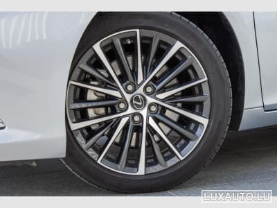 Lexus ES Explorer Line / Business (2024) - Photo 6