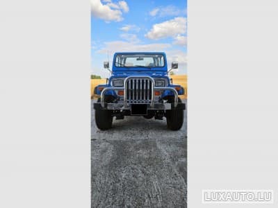 Jeep Wrangler (1993) - Photo 8