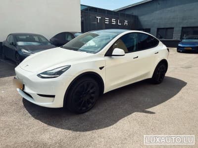 Model Y
