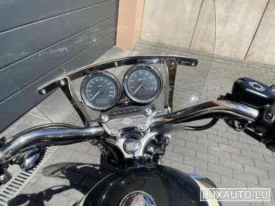 Harley-Davidson Roadster 1200 (2008) - Foto 4