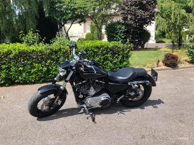 Harley-Davidson Custom Noire (2019) - Photo 1