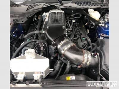 Ford Mustang FORD MUSTANG SHELBY SUPERSNAKE 50TH ANNIVERSARY 5.0 V8 716CH (2018) - Photo 13