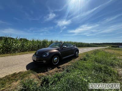 VW Beetle Fender Edition (2013) - Photo 1