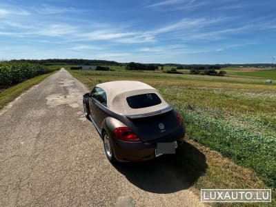 VW Beetle Fender Edition (2013) - Photo 3