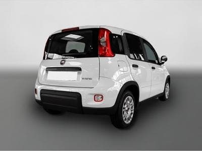 Fiat Panda (2024) - Photo 2