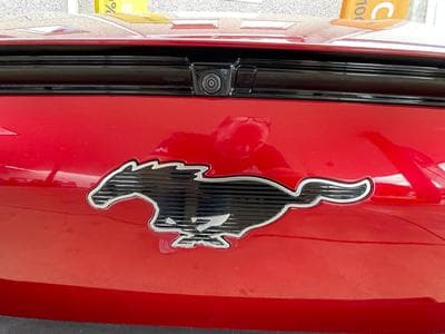 Mustang Mach-E
