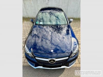C 250