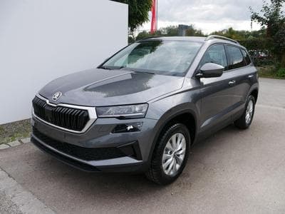 Skoda Karoq Edition (2025) - Photo 1