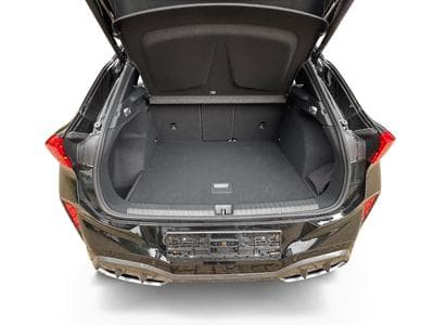 Cupra Terramar VZ (2025) - Photo 15