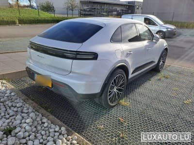 Macan