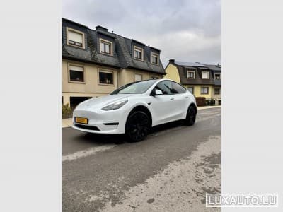 Model Y