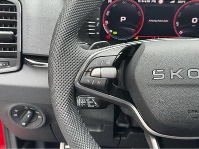 Skoda Karoq (2025) - Photo 12