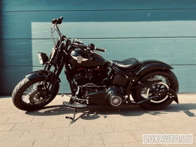 Harley-Davidson Cross Bones (2008) - Foto 1