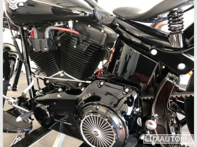 Harley-Davidson Cross Bones (2008) - Foto 3